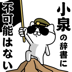 "KOIZUMI"name/Military cat