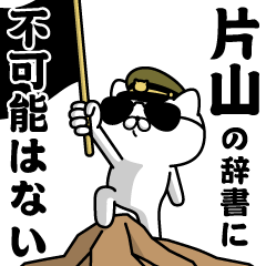 "KATAYAMA"name/Military cat