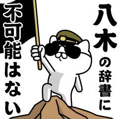 "YAGI"name/Military cat