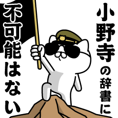 "ONODERA"name/Military cat