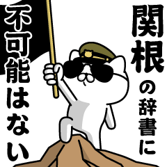 "SEKINE"name/Military cat