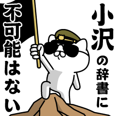 "OZAWA"name/Military cat
