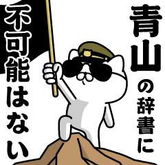 "AOYAMA"name/Military cat