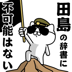 "TAJIMA"name/Military cat