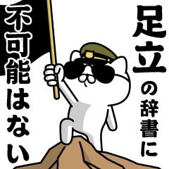 "ADACHI"name/Military cat