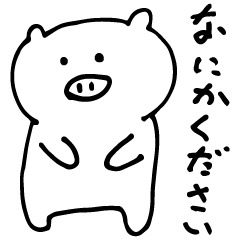 white pig is very cute.