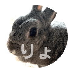 sypiii_20200229180702