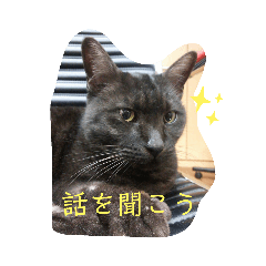 Natsumi_20200229215714