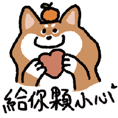 Shiba orange's V Day