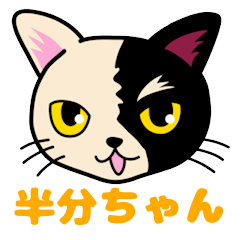 Tortie Cat Stiker