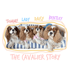 The cavalier story : Happy Family