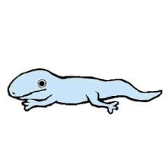 とかげがすき Line スタンプ Line Store