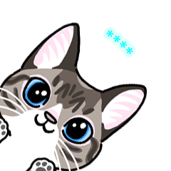 Beautiful blue eyes cat custom sticker
