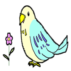 PI-chan of a parakeet