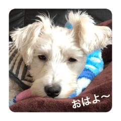 TETSU_20200301113044