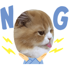 miyuu_20200301122700