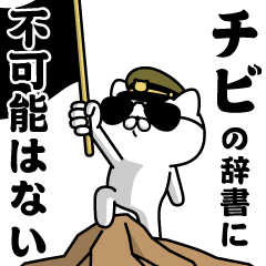 "CHIBI"name/Military cat