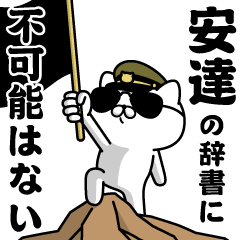 "ADACHI"name/Military cat2