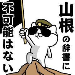 "YAMANE"name/Military cat