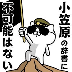 "OGASAWARA"name/Military cat