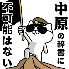 "NAKAHARA"name/Military cat