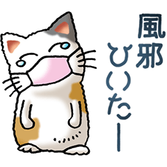 I love cats! Part25 (Japanese Bobtail 5)