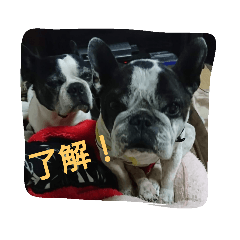 nanana_20200301150207