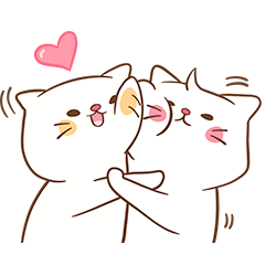  Cute Couple Cat 