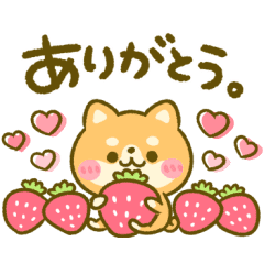 ほのぼの 豆柴日和 Line スタンプ Line Store ほのぼの 豆柴日和 Line スタンプ Line Store