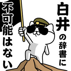 "SHIRAI"name/Military cat