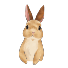Stickers for people who likes Rabbit