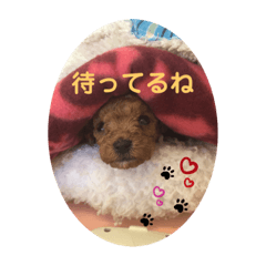 mizuki_20200301164647