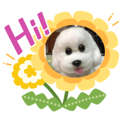 冰糖～快樂日常