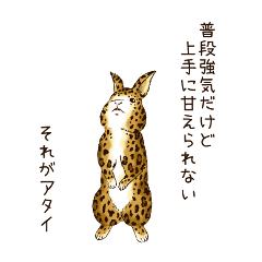 ヒョウ柄うさぎ Line スタンプ Line Store ヒョウ柄うさぎ Line スタンプ Line Store
