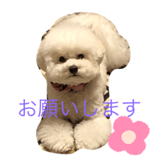 NANAMI_20200301184310