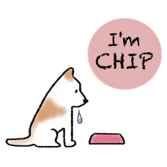 I'm CHIP.