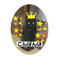 kurumi_20200301183952