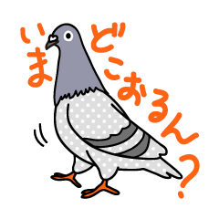 Pigeon Life
