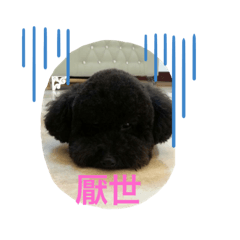 將將與一路