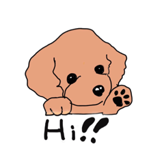 DOG HOLIC  OLD MAN_20200229223939