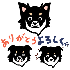 Black Cute Chihuahua Sticker