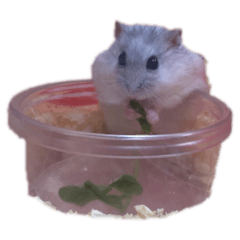 mizuki_20200302125833