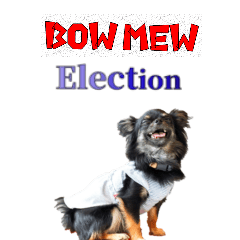 Bow Mew Election