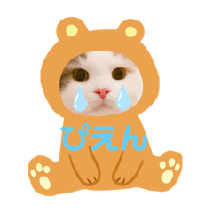 SUMIRE_20200302043605