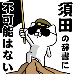 "SUDA"name/Military cat