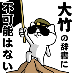 "OOTAKE"name/Military cat