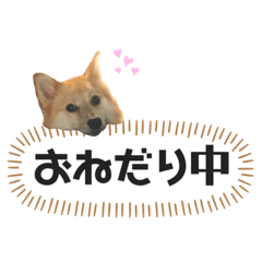 YURINA_20200302164310