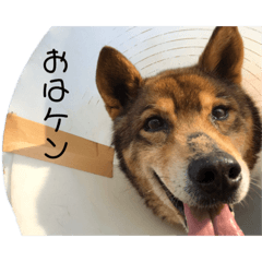 Ken_20200302182108