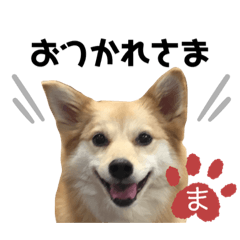 YURINA_20200302220429