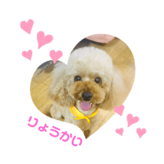 hiroki_20200302223843